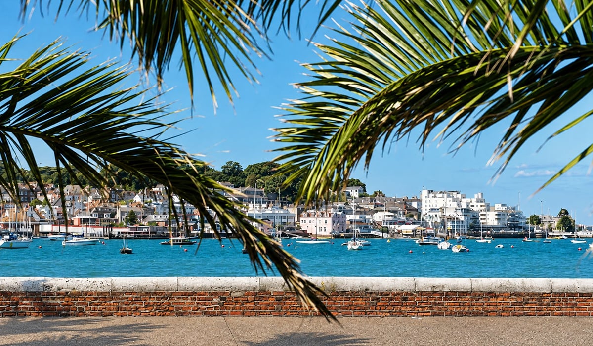 Palm fronds frame a Mediterranean beach town with moored boats and blue waters under a clear sky